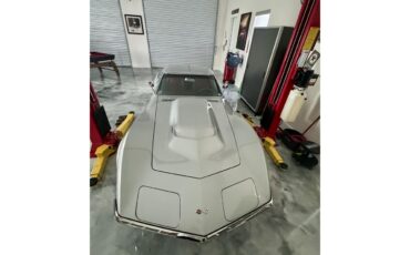 Chevrolet-Corvette-1969-Cortez-Silver-Red-Leather-31