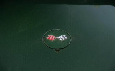Chevrolet-Corvette-1969-Rally-Green-Green-22