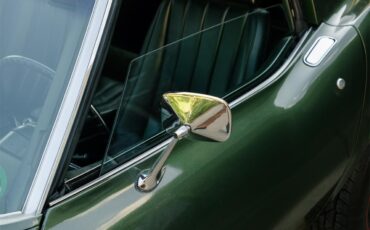 Chevrolet-Corvette-1969-Rally-Green-Green-24