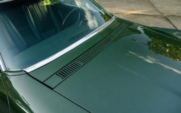 Chevrolet-Corvette-1969-Rally-Green-Green-29