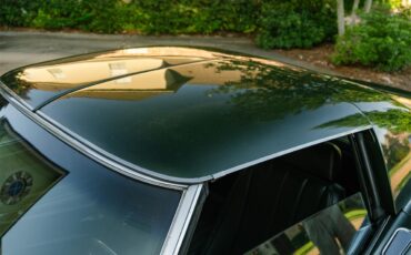 Chevrolet-Corvette-1969-Rally-Green-Green-33