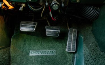 Chevrolet-Corvette-1969-Rally-Green-Green-4
