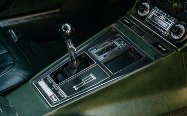 Chevrolet-Corvette-1969-Rally-Green-Green-58