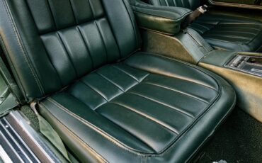 Chevrolet-Corvette-1969-Rally-Green-Green-59