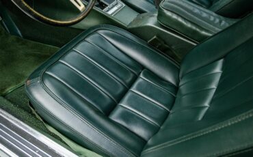Chevrolet-Corvette-1969-Rally-Green-Green-63