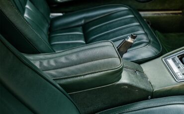 Chevrolet-Corvette-1969-Rally-Green-Green-64