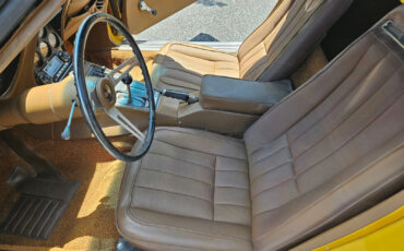 Chevrolet-Corvette-1971-Convertible-6