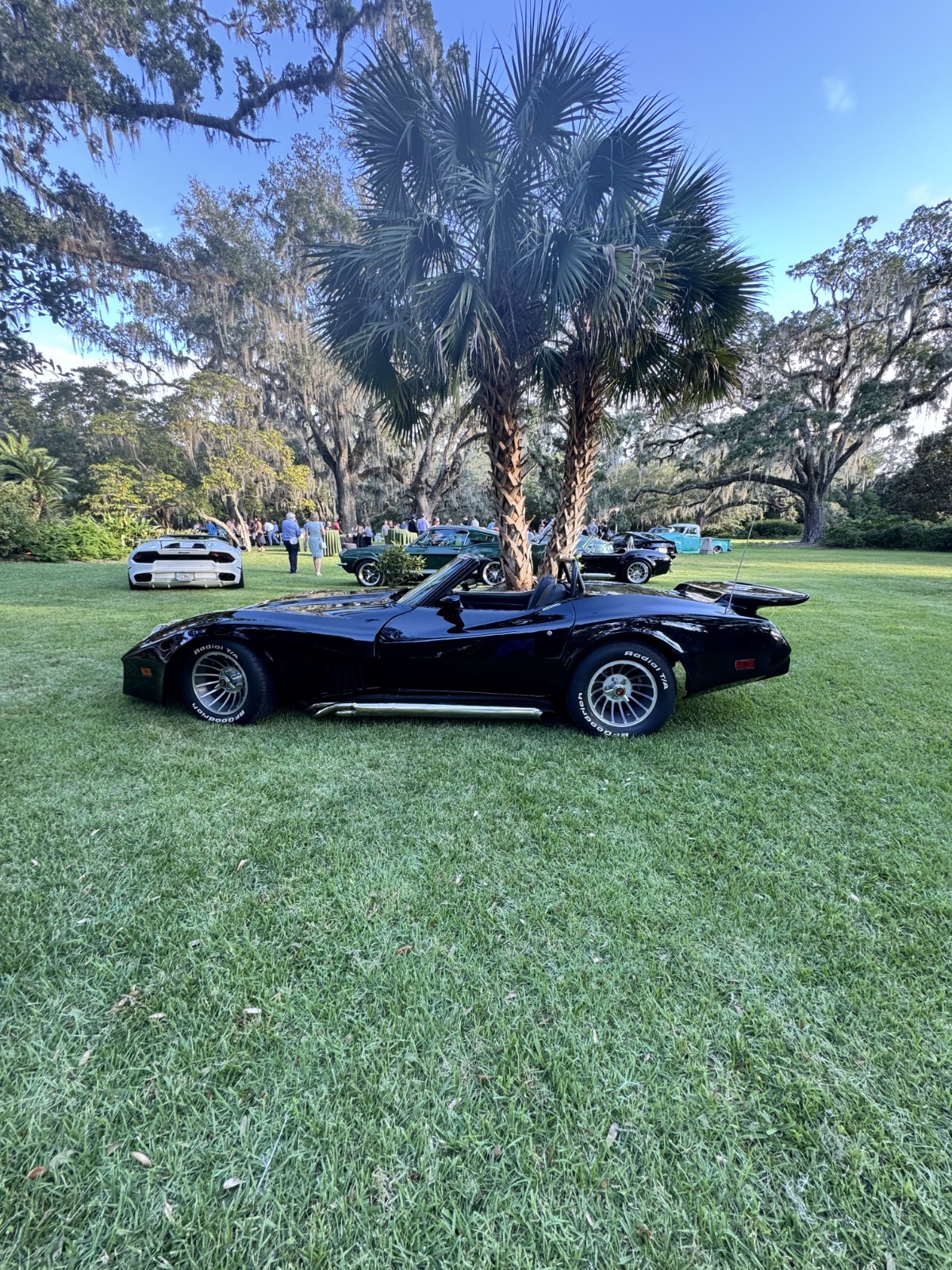 Chevrolet-Corvette-1971-Coupe-2