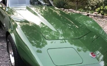 Chevrolet-Corvette-1973-Elkhart-Green-Black-Leather-8