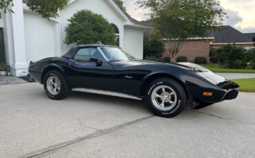 Chevrolet-Corvette-1975-Convertible-10