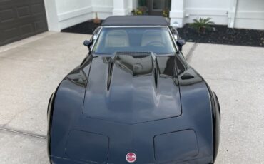 Chevrolet-Corvette-1975-Convertible-11