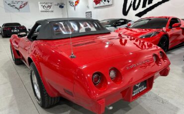 Chevrolet-Corvette-1975-Convertible-14