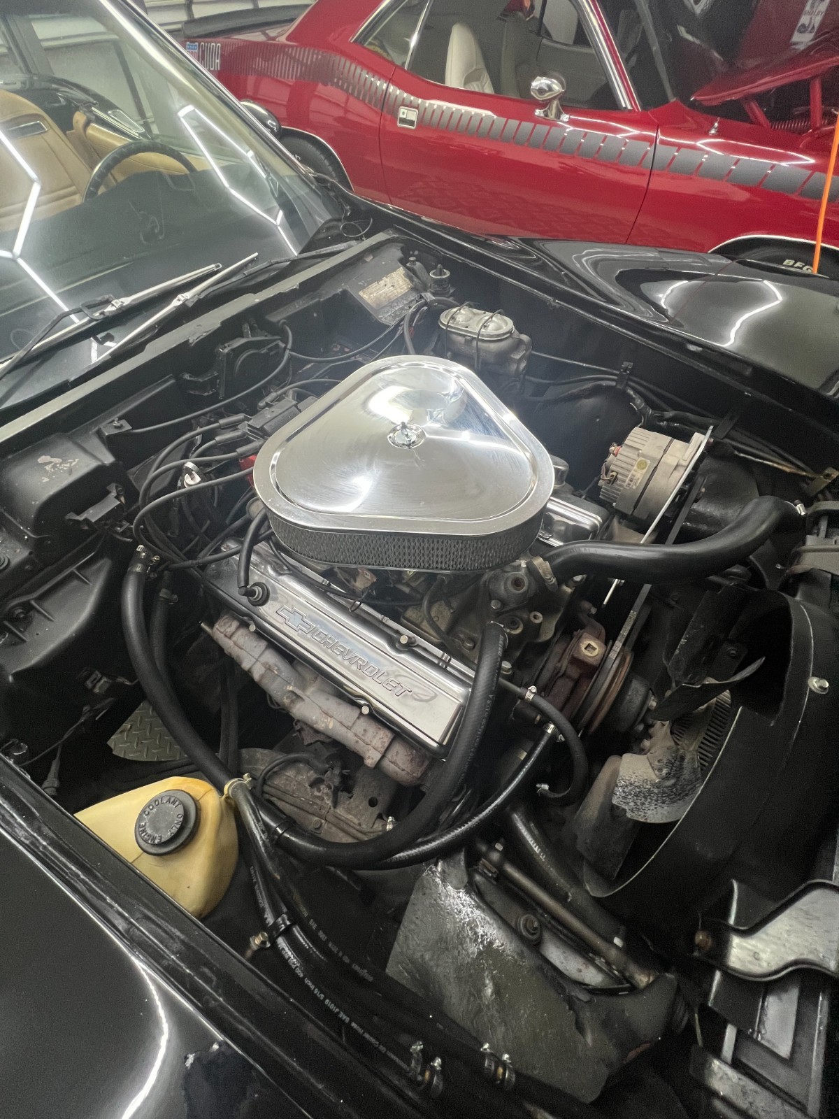 Chevrolet-Corvette-1975-Convertible-21