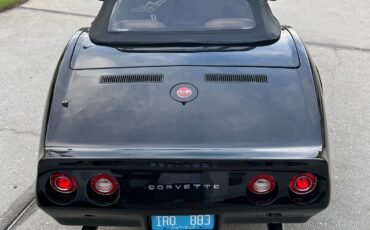 Chevrolet-Corvette-1975-Convertible-4