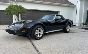 Chevrolet-Corvette-1975-Convertible-8