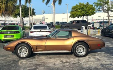 Chevrolet-Corvette-1975-Coupe-17
