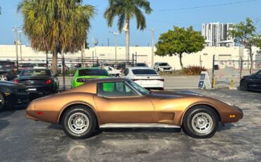 Chevrolet-Corvette-1975-Coupe-19