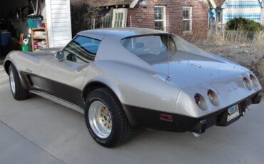 Chevrolet-Corvette-1976-2-tone-beige-beige-1