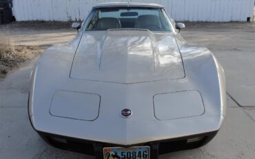 Chevrolet-Corvette-1976-2-tone-beige-beige-2