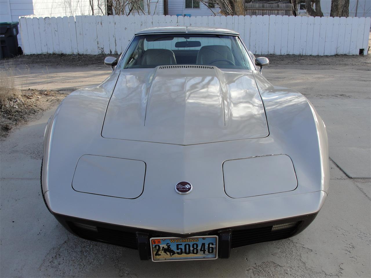 Chevrolet-Corvette-1976-2-tone-beige-beige-2