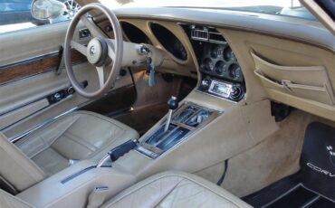 Chevrolet-Corvette-1976-2-tone-beige-beige-3