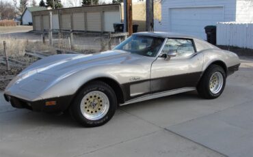 Chevrolet-Corvette-1976-2-tone-beige-beige