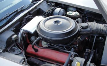 Chevrolet-Corvette-1976-2-tone-beige-beige-4