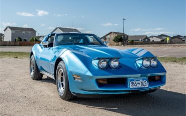 Chevrolet-Corvette-1976-LeMans-Blue-Black-27