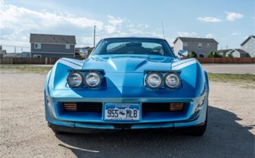 Chevrolet-Corvette-1976-LeMans-Blue-Black-29