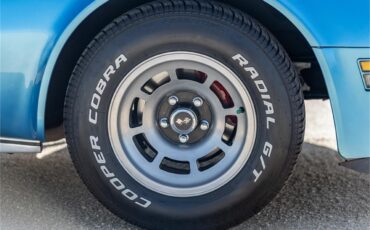 Chevrolet-Corvette-1976-LeMans-Blue-Black-55
