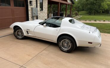 Chevrolet-Corvette-1976-White-Black-2