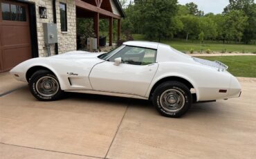 Chevrolet-Corvette-1976-White-Black-3