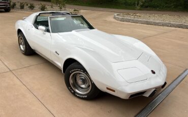 Chevrolet-Corvette-1976-White-Black-4
