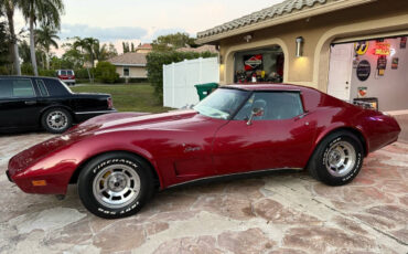 Chevrolet-Corvette-1977-Coupe-19