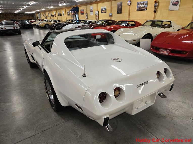 Chevrolet-Corvette-1977-White-Smoke-11