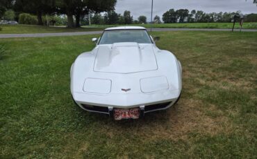 Chevrolet-Corvette-1977-White-Smoke-2