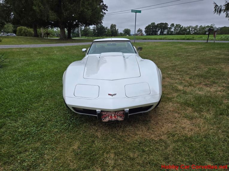 Chevrolet-Corvette-1977-White-Smoke-2