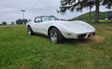 Chevrolet-Corvette-1977-White-Smoke-3
