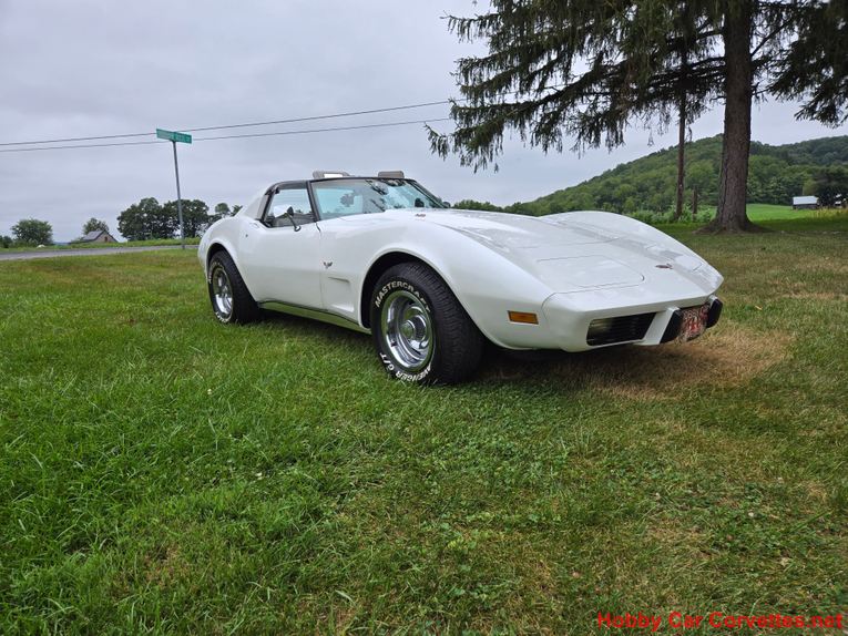 Chevrolet-Corvette-1977-White-Smoke-3