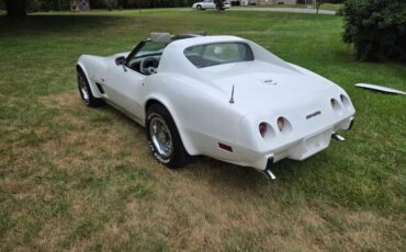 Chevrolet-Corvette-1977-White-Smoke-6