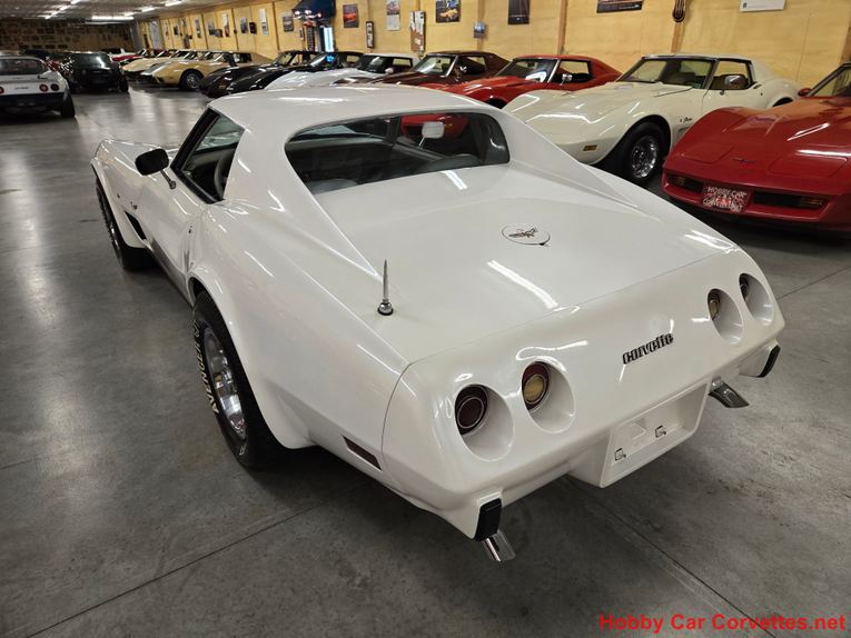 Chevrolet-Corvette-1977-White-Smoke-9