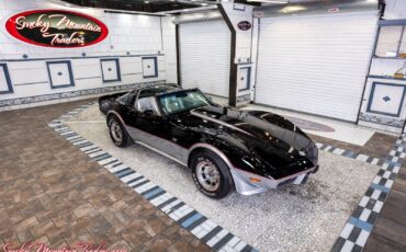 Chevrolet-Corvette-1978-14