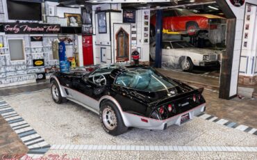 Chevrolet-Corvette-1978-39