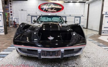 Chevrolet-Corvette-1978-9