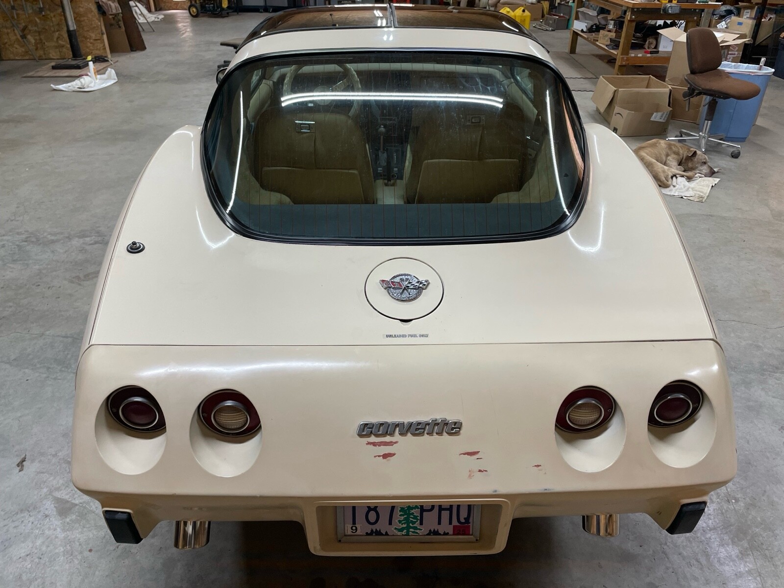 Chevrolet-Corvette-1978-Coupe-4