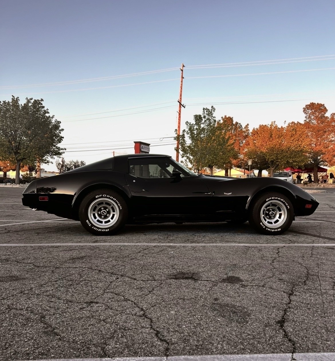 Chevrolet-Corvette-1979-6