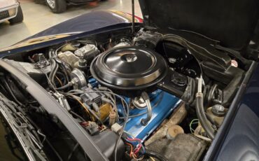 Chevrolet-Corvette-1979-Blue-Blue-10