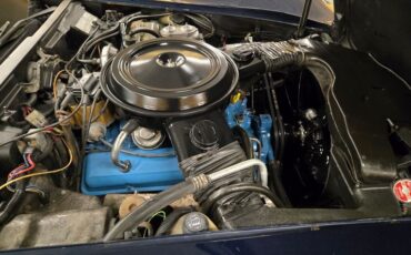 Chevrolet-Corvette-1979-Blue-Blue-11