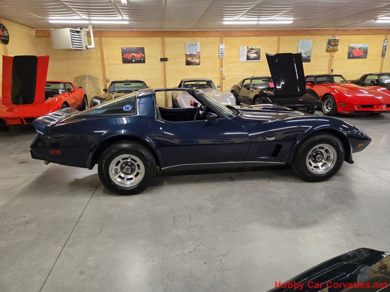 Chevrolet-Corvette-1979-Blue-Blue-3