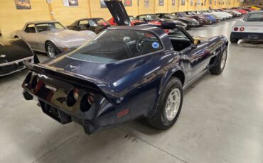 Chevrolet-Corvette-1979-Blue-Blue-4